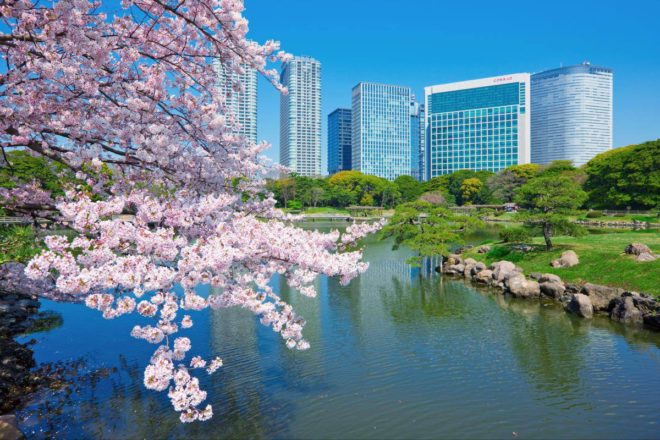 東京の絶景、庭園・公園が人気